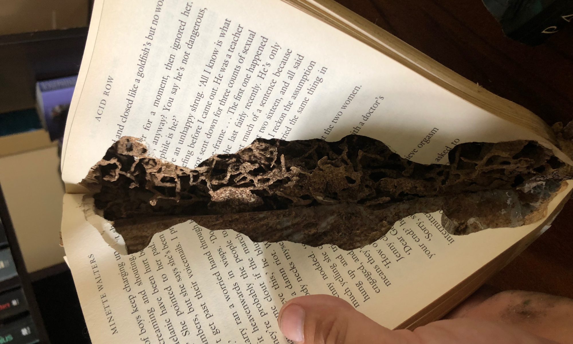 Termites eaten through the gyprock and started eating into the books on my clients book case